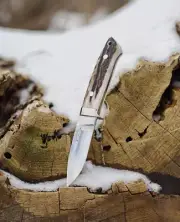 Loveless Style Custom Knife RWL34 Mirror Drop Point Hunter Stag/Antler w Sheath