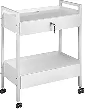 VEVOR Lab Cart, 2 Tiers Stainless Steel Utility Cart, Medical Cart with 2 Drawers, Rolling Lab Cart White Paint, Serving Cart with Swivel Casters for Laboratory, Hospital, Dental, Salon and Beauty