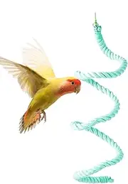 Parrot Rope Perch | Flexible Bird Swings for Parrots Cockatiel Peony | Macaw Swing Ladder Bite-Resistant Flexible Standing Stick