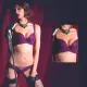 【LADY】燦亮星影系列 刺繡機能調整型內衣 B-D罩(神秘紫)