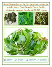 Dried Mango Leaves, Pure Herbal Tea for Healthy Remidy. 50- 300 Leaves