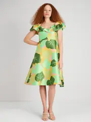 Cucumber Floral Flounce Dress