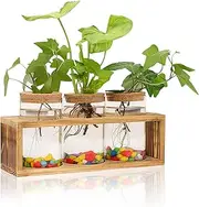 Clear Plant Propagation Station with Retro Wooden Stand, Glass Plant Terrarium Decor with 3 Vase, Desktop Plant Stand for Hydroponic Home Office Garden Decor, Plant Lover Gifts (3 Vase)
