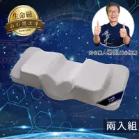 在飛比找PChome24h購物優惠-生命磁加強版石墨烯能量枕2入組