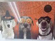 Happy Howl-O-Ween - 1000 Piece Jigsaw Puzzle Dogs- Pink Sky - 19"H x 26"W - New