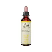 Juno Labs Bach Flower Remedies Bach Flower Remedies Gentian 20ml