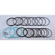 P/N 7024402 - NEW JLG OEM SEAL KIT