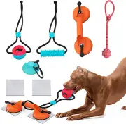 Dog Suction Cup Toy - Tug of War Style with Rope, Dogs Interactive Ball, Large A