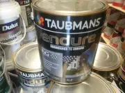 TAUBMANS 4 LITRE ENDURE EXTERIOR GLOSS FACTORY WHITE COLOR PAINT