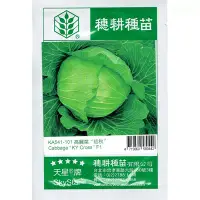 在飛比找Yahoo!奇摩拍賣優惠-種子王國  高麗菜 "初秋" 甘藍【蔬果種子】  F1 一代