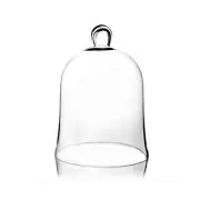CYS EXCEL Glass Bell Dome Cloche (H:16" W:12") | Multiple Size Choices Enchan...