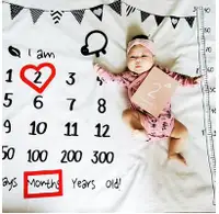 在飛比找樂天市場購物網優惠-新款嬰兒月齡拍照道具背景布寶寶出生月份成長百天周歲紀念背景毯