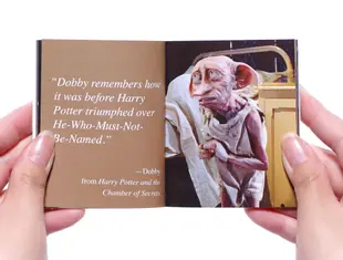 哈利波特：會說話的多比迷你版(附音效) Harry Potter Talking Dobby and Collectible Book