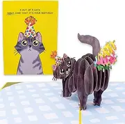 Dirty Pop Cards - Purr-fect Pop Up Birthday Card, 3D Cat Farting Confetti Funny Birthday Card, Cat Mom or Dad Bday Popup Cards for Husband, Wife, Friend, and Every Cat Lover - 1 Card 5 x 7 inch, 1 Notepaper, 1 Envelope