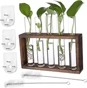 TOYANDONA 1Set Wall Hanging Propagation Stations with Wood Rack and Glass Test Tubes Indoor Plant Decor for Home Office and Garden Easy to Clean with Included Brush and Nails