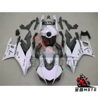 在飛比找蝦皮購物優惠-【金茵MOTO】YAMAHA YZF R3 R25車殼19-