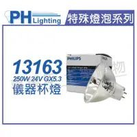 在飛比找樂天市場購物網優惠-PHILIPS飛利浦 13163 24V 250W GX5.