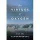 The Virtues of Oxygen