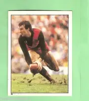 1983 SCANLENS VFL STICKER - #36 GLEN HAWKER, ESSENDON BOMBERS