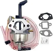 Huayi OEM Carburetor Compatible with Briggs & Stratton P3000 2600/3000 Watt 171cc Inverter Generator replacement carb
