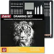 Charcoal Pencils for Drawing, Set of 22, Professional Drawing Sketch Pencils, Art Supplies for Sketching, Shading, Artist Charcoal Supplies for Beginners & Pro Artists.