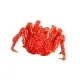 【萬象極品】帝王蟹約2.1kg以上/隻
