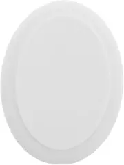 DECOMELODY Oval Facial Cream Applicator Pads Back Brush Lotion Applicator Replacement Head for Travel