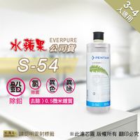 現貨🔥【水蘋果】公司貨EVERPURE S54 淨水濾心(家用型) [A0005]另有H54 S104 H104 BH2