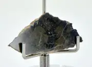 2.62g Eucrite Monomict Slice | HED NWA 8555 - TOP METEORITE