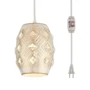 YLONG-ZS Hanging Lights with Plug in Cord Boho Plug in Pendant Light 16 FT Co...