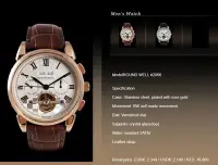 在飛比找Yahoo!奇摩拍賣優惠-【ROUND WELL浪威錶】皇家尊爵機械腕錶 #2066 