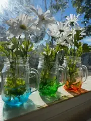 Color Flashed Mason Jars Vases/Glasses/Springtime decor/Lemonade/Tea/Glasses