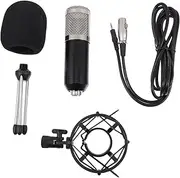 BIUDECO 1Set Microphone Set Wired Condenser Microphone Kit for Live Broadcast Ktv and Home Use Durable Design Compatible with Sound Cards