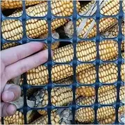 Garden Fence Plastic Lattice Mesh Pond Safety Fence Cat Pet Chicken Ducks Breeding Net Balcony Railing Stairs Protection Net(0.5Mx4M,Hole 3x3CM)