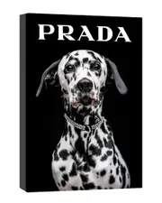 Of Course A Dalmation Wears Prada Wall Art