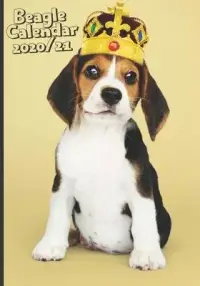 在飛比找博客來優惠-Funny Beagle Dog Daily Calenda