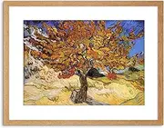 Vincent Van Gogh Mulberry Tree 1889 Old Master Framed Wall Art Print