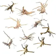 Mini Driftwood for Aquarium Natural Wood Branches Fish Tank Decorations Tree Trunk Driftwood Assorted(10 Pack)
