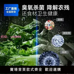 馳能臭氧洗菜機大型全自動洗菜機商用飯店氣泡臭氧水果蔬菜清洗機