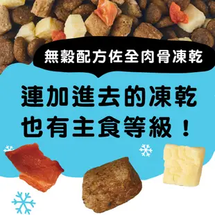 耐吉斯 Solution 獵食客(短效優惠出清) 狗糧 凍乾飼料 無穀配方佐全肉骨凍乾 全齡適用 鹿肉/鮭魚