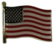 Wholesale Lot of 50 USA United States of America Wavy Flag Hat Cap Lapel Pin