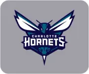 Charlotte Hornets Computer / Laptop Mouse Pad