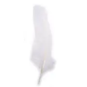 Feather Goose Down, 16-20 CM ,8pces,White
