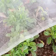 Garden Netting Pest Barrier: 4'x10' Fine Bug Netting for Garden Protection Ro...