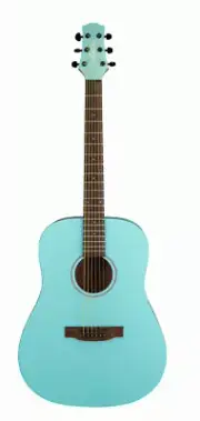 ASHTON SPD30 TRP ACOUSTIC GUITAR W/GIG BAG