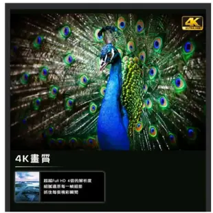 HERAN 禾聯HD-65MF1 65吋4K UHD聯網液晶電視 (含運無安裝無視訊盒)