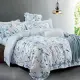 【Betrise幽蘭靜水】雙人-植萃系列100%奧地利天絲八件式鋪棉兩用被床罩組