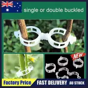 100/200x Tomato Greenhouse Ties Garden Plant Support Veggie Clips Trellis Twine