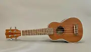 Brand New Hricane Concert 21 Inch Ukulele Classic Sapele Satin Finish (Carved)