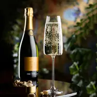 在飛比找HOTAI購優惠-【RONA】Lord水晶玻璃香檳杯(330ml) | 調酒杯